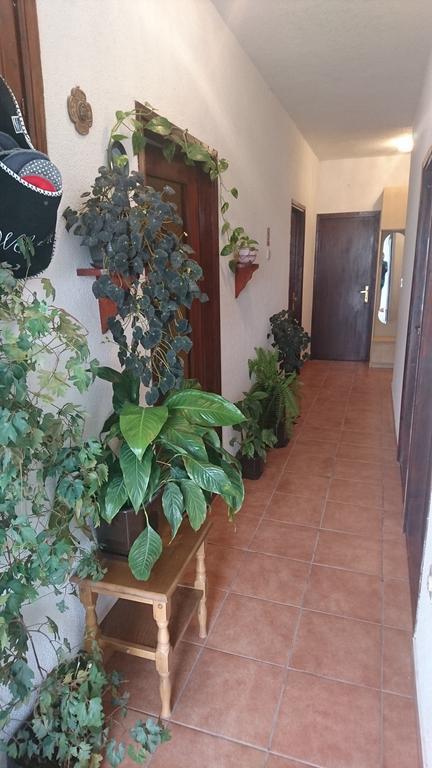 Apartment Leona Сень Екстер'єр фото